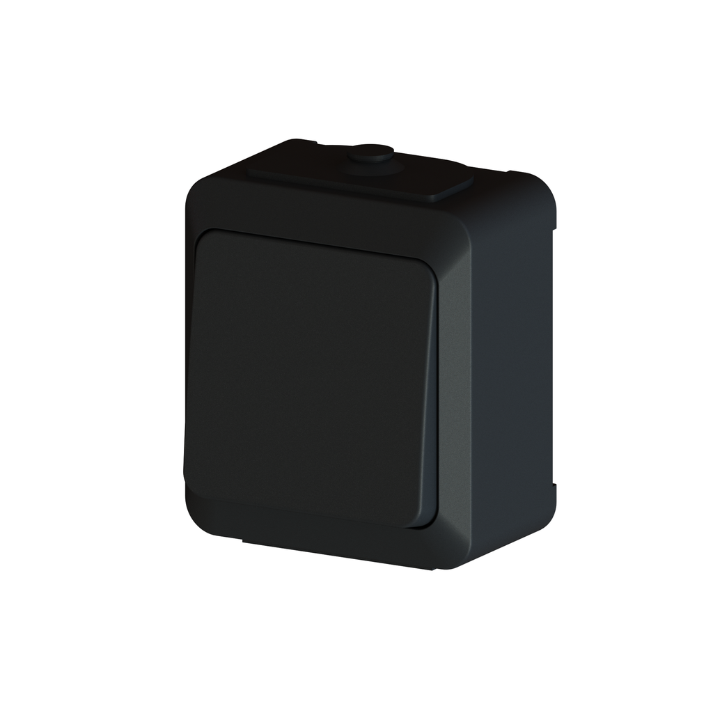 Kytkin HIILI 1/6 pinta IP44 RL 