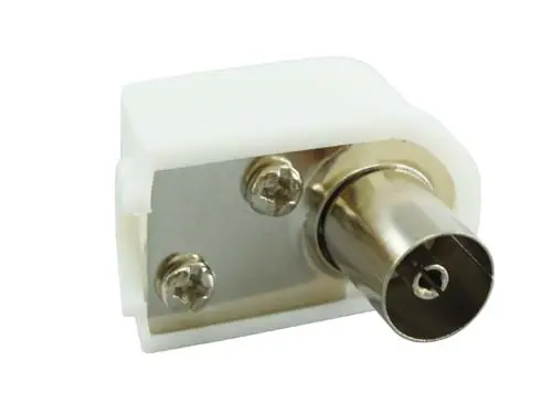 Antennipistike Harju kulma naaras