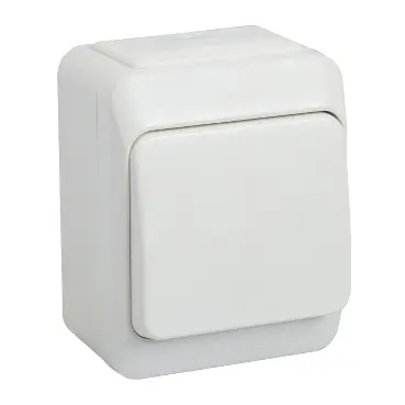 Kytkin Schneider Exxact 5 kruunu pinta IP21 valkoinen