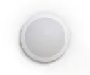 Kupuvalaisin IP65 IK10